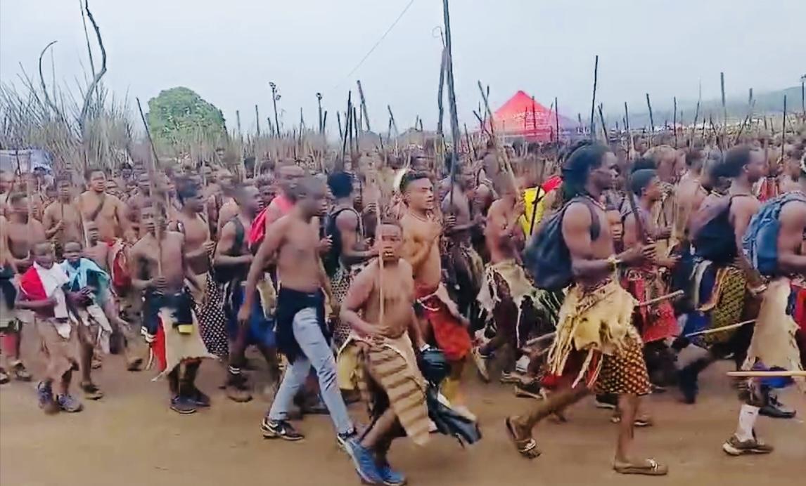 King Mswati Commissions Thousands Of Ingatja To Cut Lusekwane As Part