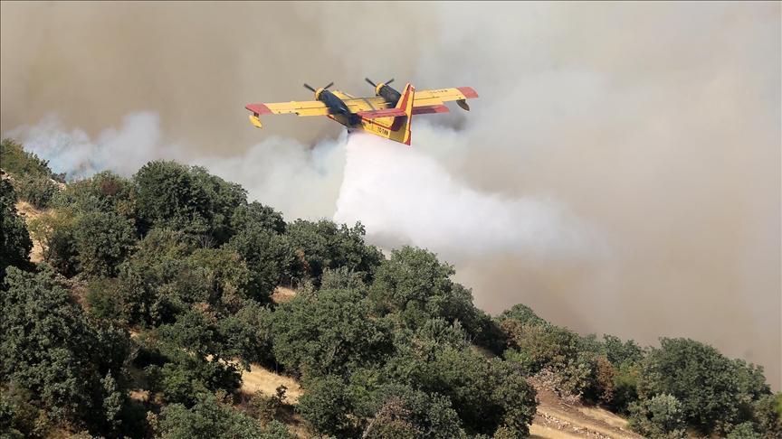 Wildfires Across Globe Leave Millions Of Hectares Devastated Force