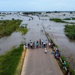 Crocodiles Tuent Trois Personnes au Mozambique Après Inondations Crocodiles Tuent Trois Personnes au Mozambique Après Inondations
