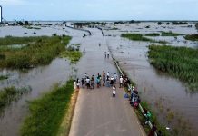 Crocodiles Tuent Trois Personnes au Mozambique Après Inondations Crocodiles Tuent Trois Personnes au Mozambique Après Inondations
