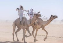 Le Festival D’Am Djarass Revient au Tchad Le Festival D’Am Djarass Revient au Tchad