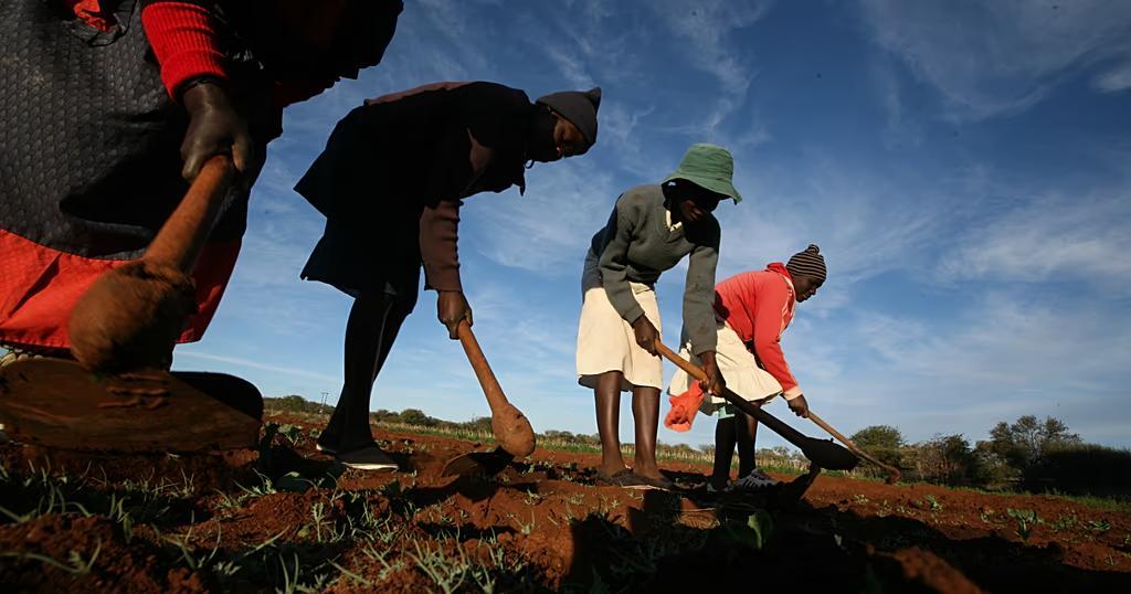 Le Zimbabwe Rend 67 Fermes à des Européens Le Zimbabwe Rend 67 Fermes à des Européens