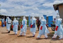 Le Congo Signale Plus de Cas Confirmés D’Ebola Le Congo Signale Plus de Cas Confirmés D’Ebola