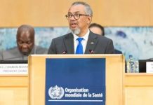 OMS: Choléra et Violence InquièTent au Kordofan OMS: Choléra et Violence InquièTent au Kordofan