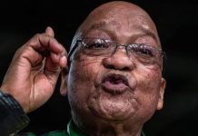 تحقيق مع ابنة زوما بشأن مقاتلين جنوب إفريقيين في أوكرانيا تحقيق مع ابنة زوما بشأن مقاتلين جنوب إفريقيين في أوكرانيا