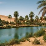 زحف الكثبان الرملية يهدد واحة كاو في تشاد زحف الكثبان الرملية يهدد واحة كاو في تشاد