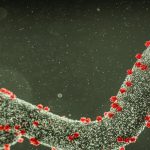 ارتفاع وفيات فيروس ماربورغ في إثيوبيا ارتفاع وفيات فيروس ماربورغ في إثيوبيا