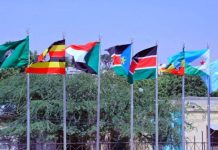 إريتريا تعلن انسحابها من منظمة إيغاد إريتريا تعلن انسحابها من منظمة إيغاد