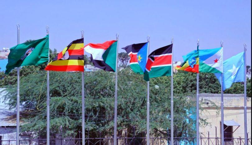 إريتريا تعلن انسحابها من منظمة إيغاد إريتريا تعلن انسحابها من منظمة إيغاد