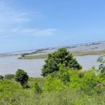 سكان موزمبيق يتشبثون بالأشجار هربًا من فيضانات عاتية سكان موزمبيق يتشبثون بالأشجار هربًا من فيضانات عاتية