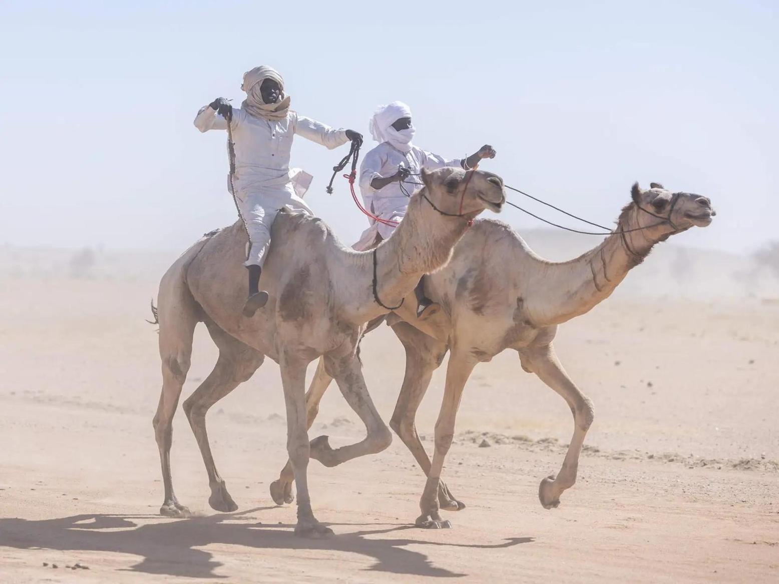 مهرجان أم جرس الدولي لثقافات الصحراء مهرجان أم جرس الدولي لثقافات الصحراء