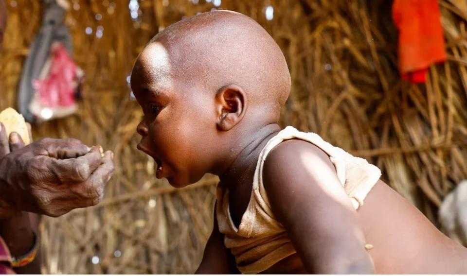 الجفاف يعمق أزمة الجوع في شمال كينيا مجددًا الجفاف يعمق أزمة الجوع في شمال كينيا مجددًا