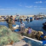 ليبيا تحظر تصدير الأسماك والمزروعات ليبيا تحظر تصدير الأسماك والمزروعات