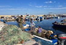 ليبيا تحظر تصدير الأسماك والمزروعات ليبيا تحظر تصدير الأسماك والمزروعات