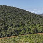 كينيا تنظر في طلب لتعليق اتفاقية المعادن مع الولايات المتحدة كينيا تنظر في طلب لتعليق اتفاقية المعادن مع الولايات المتحدة