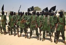 ISIS Developments in Africa from a Western Perspective