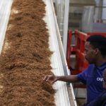 Zimbabwe Launches Africa’s Largest Tobacco Processing Plant Zimbabwe Launches Africa's Largest Tobacco Processing Plant