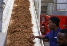 Zimbabwe Launches Africa’s Largest Tobacco Processing Plant Zimbabwe Launches Africa's Largest Tobacco Processing Plant