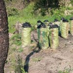 Solar Funding Saves Zambia’S Forests Solar Funding Saves Zambia’S Forests