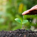Report: Soil may Hold Key to Climate Crisis Solutions Report: Soil may Hold Key to Climate Crisis Solutions