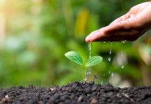 Report: Soil may Hold Key to Climate Crisis Solutions Report: Soil may Hold Key to Climate Crisis Solutions