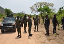 Nigeria: Record Hunger Amid Militant Attacks, Aid Cuts Nigeria: Record Hunger Amid Militant Attacks, Aid Cuts