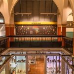 Manchester Museum Opens Africa Documentation Center Manchester Museum Opens Africa Documentation Center