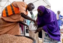 UN: 35 Million Nigerians at Risk of Famine UN: 35 Million Nigerians at Risk of Famine