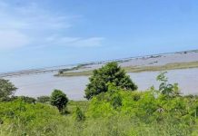 Mozambicans Cling to Trees to Escape Raging Floods Mozambicans Cling to Trees to Escape Raging Floods