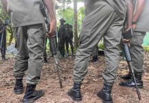 Dozens Killed in Armed Attack in Northeastern Nigeria Dozens Killed in Armed Attack in Northeastern Nigeria