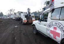 UN to Deploy Mission to Monitor Congo Ceasefire UN to Deploy Mission to Monitor Congo Ceasefire