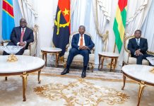 African Leaders Urge Ceasefire in DR Congo African Leaders Urge Ceasefire in DR Congo