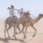 Am Djarass Desert Culture Festival Returns in Chad Am Djarass Desert Culture Festival Returns in Chad