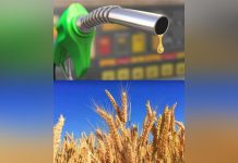 High fuel prices threatening agric output warns ZFU High fuel prices threatening agric output warns ZFU