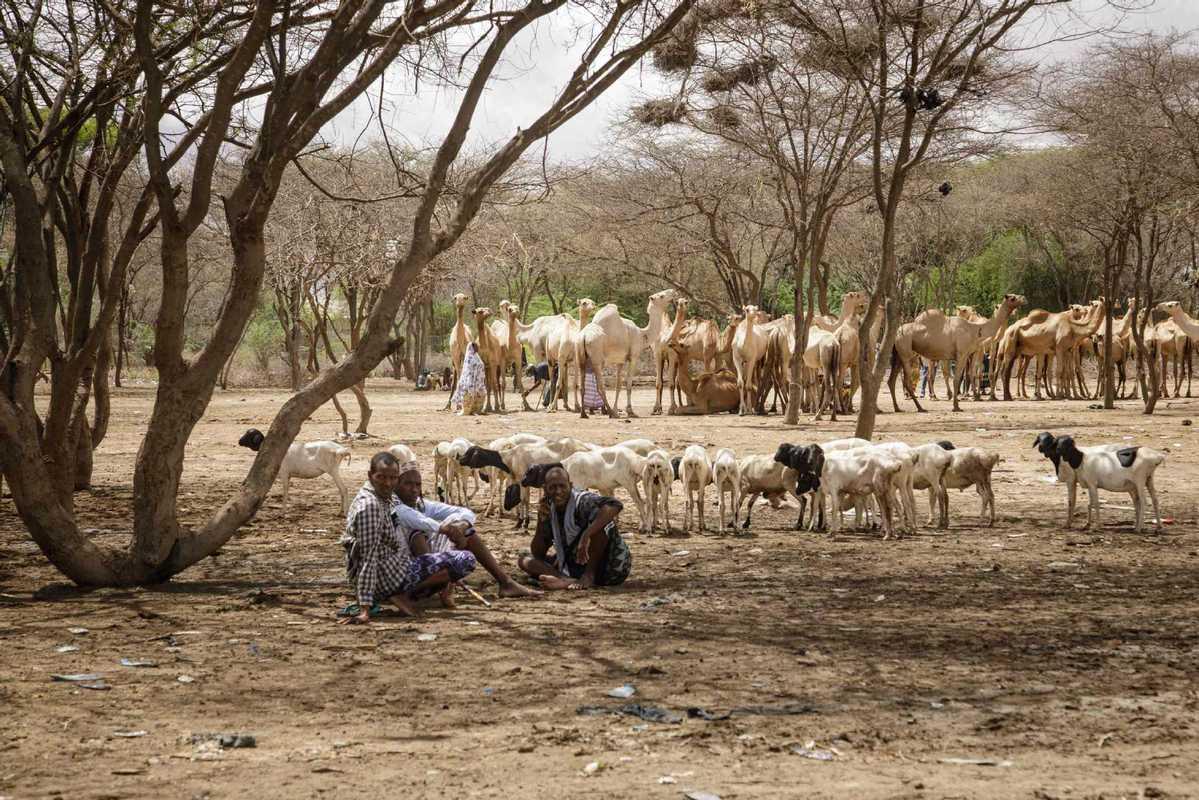 6 Million Face Famine Risk in Somalia 6 Million Face Famine Risk in Somalia