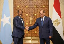 Egypt Condemns Somaliland Embassy in Jerusalem Egypt Condemns Somaliland Embassy in Jerusalem