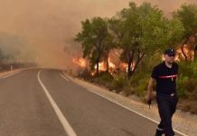 Amid Soaring Temperatures, Morocco Battles Wildfire in Errachidia Amid Soaring Temperatures, Morocco Battles Wildfire in Errachidia