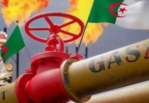 Algeria Captures a Third of Italy’S Gas Market Algeria Captures a Third of Italy’S Gas Market