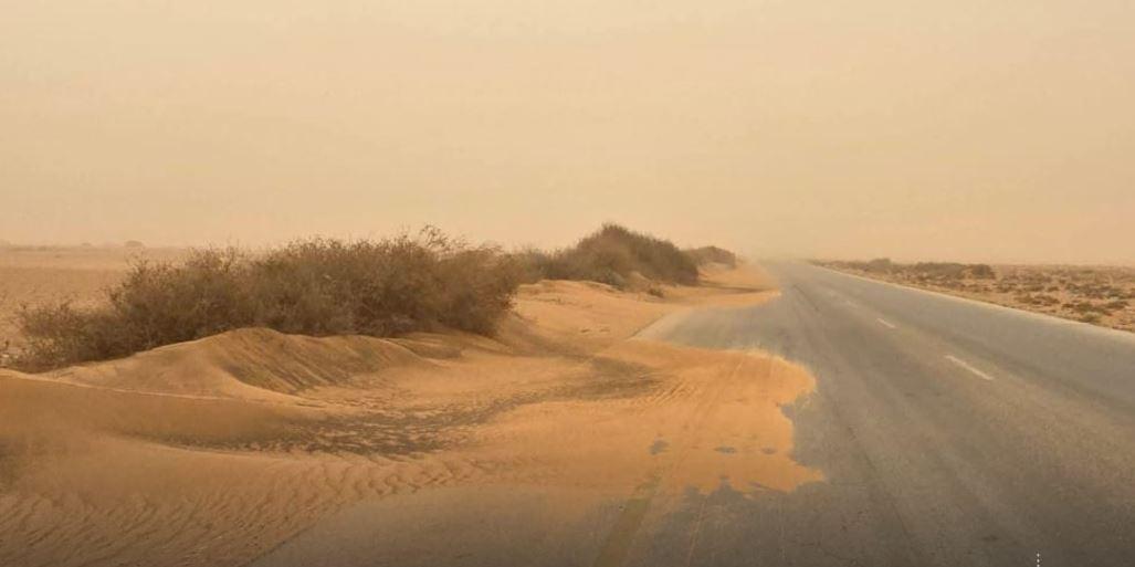 Libya Loses over Half its Tree Cover as Desertification Worsens Libya Loses over Half its Tree Cover as Desertification Worsens