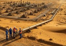 Niger: from Uranium to Oil, Resources and Alliances Niger: from Uranium to Oil, Resources and Alliances
