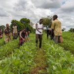 Rwanda Seeks over $14 Billion to Modernize Agriculture Rwanda Seeks over $14 Billion to Modernize Agriculture