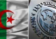 صندوق النقد الدولي يرفع توقعاته بشأن النمو في الجزائر