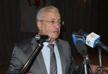 تعيين محمد السعيد وزيرا مستشارا ناطقا رسميا باسم الرئاسة