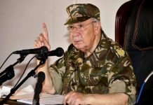 قايد صالح: نحن مقبلون على استحقاق هام ومفصلي