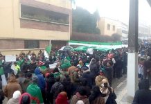 سيدة تسب عقبة بن نافع وتسخر من مترشح للانتخابات!