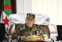 قايد صالح: الإنتخابات الرئاسية محطة هامة في مسار بناء دولة القانون