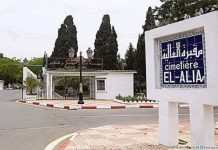 ولاية الجزائر تنفي تخصيص مربع بالعالية لموتى كورونا