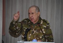 اللواء شنقريحة: الجيش مجنّد لإسناد الشعب في مواجهة كورونا