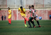 الفاف تضع آخر اللمسات قبيل استئناف البطولة والكأس