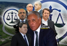 وال سابق: سعيد بوتفليقة وبدوي أمروني بمنح عقار فلاحي لنجل هامل